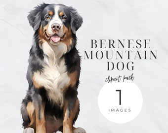 Bernese Mountain Dog Clipart,  Bernese Dog Png,  Pet Png, Transparent Background, Digital Planner, Dog Portrait, Nursery, Commercial Use