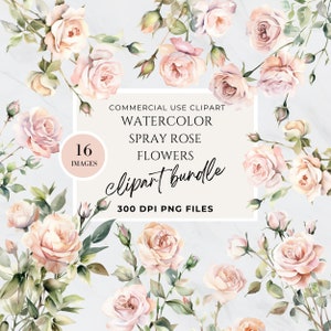 Spray Rose, Dusty Rose Flower Clipart, Clipart Neutral Flowers, Light Pink Flower Clipart, Commercial Use, Baby Shower Sign, High Resolution