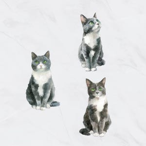 May include: Watercolor illustration of three gray and white cats with green eyes. The cats are in a sitting position, with their tails curled. The artwork has a soft, artistic style, perfect for cat lovers.
