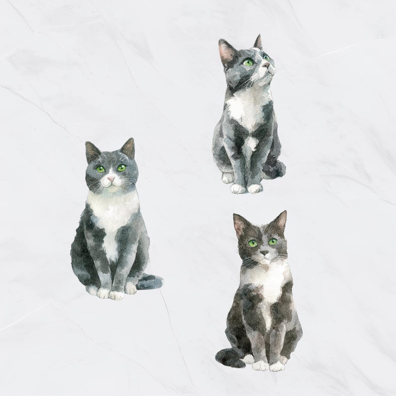 May include: Watercolor illustration of three gray and white cats with green eyes. The cats are in a sitting position, with their tails curled. The artwork has a soft, artistic style, perfect for cat lovers.