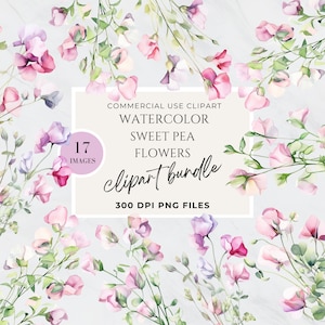 Sweet Pea, Pressed Flowers Clipart, Mauve Flower Clipart, Magenta Flowers Clipart, Hot Pink Flowers Clipart, Commercial Use, High Res PNG