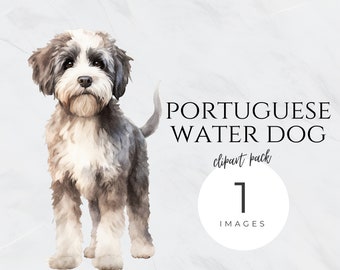 Watercolor Portuguese Water Dog Clipart, Pet Png, Puppy Transparent Background, Dog Portrait, Nursery, Commercial Use, Dog Mom Glitter PNG