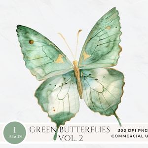 Clipart de borboletas de ouro verde sálvia, papel digital de borboleta e flor em aquarela, sinal de chá de bebê, gráficos de berçário, floral de primavera png