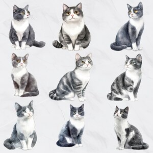 May include: Watercolor illustrations of various cats in different poses. The cats have gray and white fur, with some featuring striped patterns. Each cat is depicted with detailed features, including eyes, whiskers, and fur textures, against a soft, marbled background.