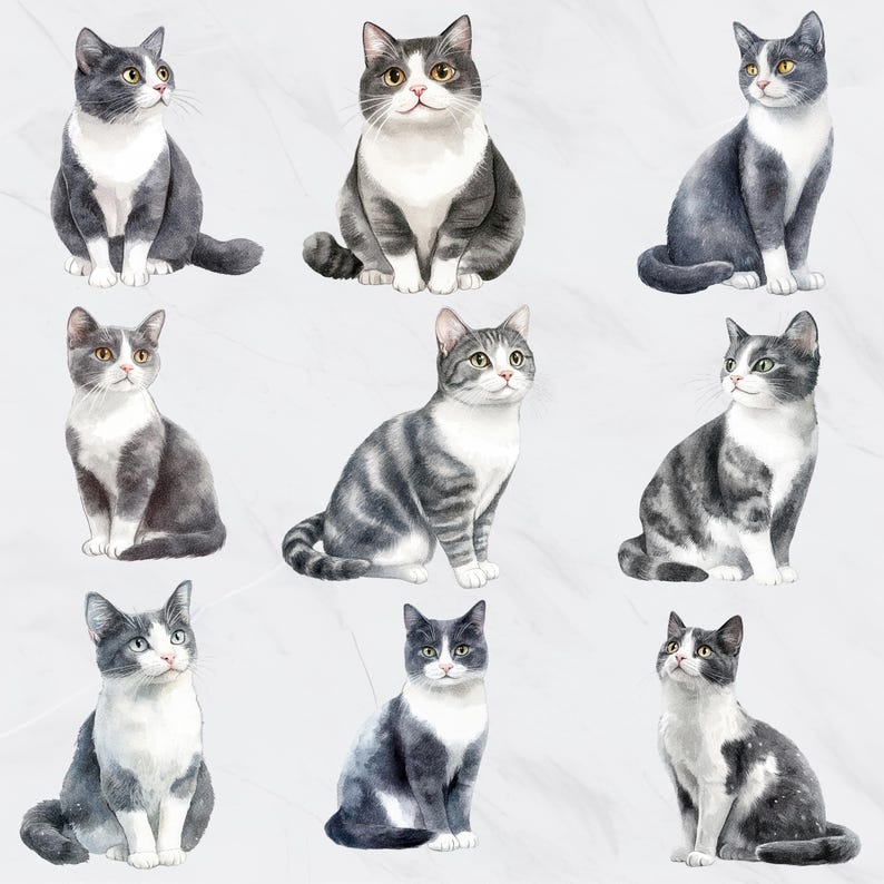 May include: Watercolor illustrations of various cats in different poses. The cats have gray and white fur, with some featuring striped patterns. Each cat is depicted with detailed features, including eyes, whiskers, and fur textures, against a soft, marbled background.