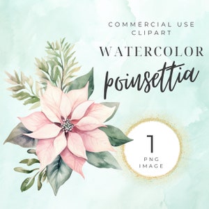 Clipart de poinsétia de Natal, clipart de férias, poinsétia em aquarela, ouro, inverno, arranjo, buquê, sublimação, floral, PNG