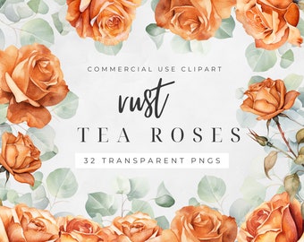 Rose Bud Clipart, Simple Rose Clip Art, Vintage Rose Clipart, Watercolor Dusty Rose Floral, Peach, Pink, Transparent PNG, Flower Border