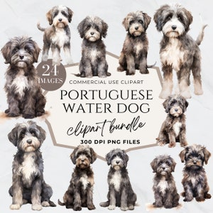 Watercolor Portuguese Water Dog Clipart, Pet Png, Puppy Transparent Background, Dog Portrait, Nursery, Commercial Use, Dog Mom Glitter PNG