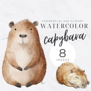 Watercolor Clipart Capibara PNG, Cute Kawaii Capybara Clipart, Digital Download for Sublimation, Art Projects, Instant Crafts for Kids Adult