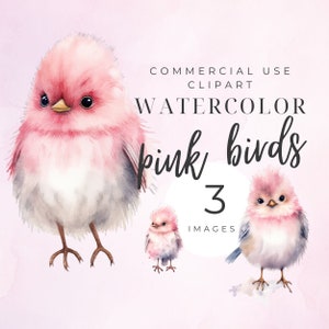 Clipart oiseau d'hiver mignon, aquarelle oiseaux d'hiver, oiseau des neiges, clipart animal, oiseaux d'amour, voler, original, chambre de bébé, bébé, lot