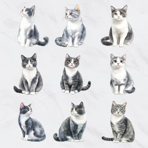 May include: Nine watercolor illustrations of cats in various poses. The cats have gray and white fur, with different patterns and markings. The cats are sitting, looking up, or looking to the side. The background is a light gray, textured surface.
