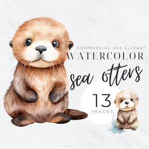 Zeeotter aquarel clipart, schattige otter png-bundel, dieren illustraties, schattige baby, digitale download, transparante png, babyshower, kinderkamer