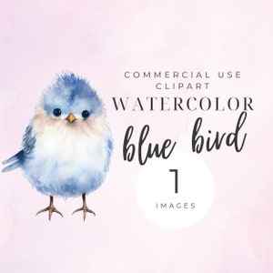 Clipart oiseau d'hiver mignon, clipart oiseau bleu aquarelle, oiseaux d'hiver, oiseau des neiges, clipart animal, oiseaux d'amour, voler, original, chambre de bébé, bébé