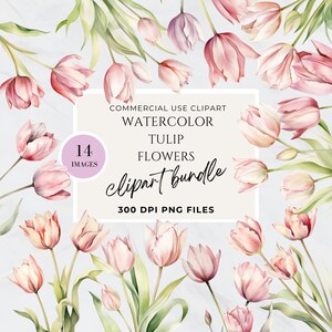 Watercolor Tulip Clipart, Light Pink Flower Clipart, Wedding, Watercolor Floral, Transparent Background PNG, High Resolution