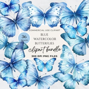 Clipart farfalla blu, acquerello, farfalle colorate, carta digitale con farfalle e fiori, cartello per baby shower, PNG, primavera, uso commerciale