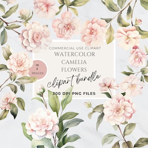 Light Pink Flower Clipart, Camellia Flower, Commercial Use, Transparent Background PNG, High Resolution, Wedding, Baby Shower Sign, Spring