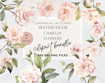 Light Pink Flower Clipart, Camellia Flower, Commercial Use, Transparent Background PNG, High Resolution, Wedding, Baby Shower Sign, Spring