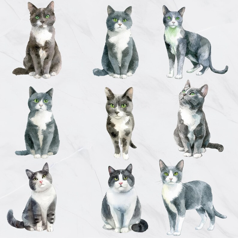 May include: Watercolor illustrations of various cats in different poses. The cats have gray and white fur, with green eyes. Some cats are sitting, while others are standing or looking up. The background is a light gray, textured surface.
