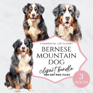 Berner Sennenhund Clipart, Berner Hund Png, Haustier Png, transparenter Hintergrund, digitaler Planer, Hundeportrait, Kindergarten, kommerzielle Nutzung