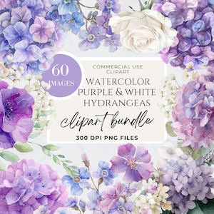 May include: A digital clipart bundle featuring watercolor purple and white hydrangeas. The image includes a variety of floral arrangements, with the text "60 Images" and "Clipart Bundle". The text "300 DPI PNG Files" is also visible.