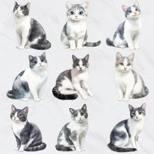 May include: Watercolor illustration of nine domestic cats in various poses. The cats have gray and white markings, with some featuring blue eyes. The artwork has a soft, painterly style, with a light background.