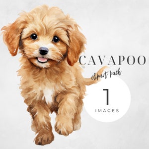 Cavapoo Clipart, Cavalier King Charles Spaniel, Poodle Clip Art, Dog Watercolor, Instant Download, Dog Portrait, Puppy Silhouette, Dog PNG