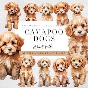 Cavapoo Clipart, Cavalier King Charles Spaniel, Poodle Clip Art, Dog Watercolor, Instant Download, Dog Portrait, Puppy Silhouette, Dog PNG