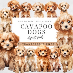 Cavapoo clipart, Cavalier King Charles Spaniel, poedel illustraties, hond aquarel, instant download, hondportret, puppy silhouet, hond png