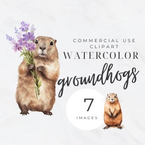 Groundhog Clipart Bundle, Groundhog Day Clip Art, Ground Hog with Flowers, Animal Transparent PNG, Commercia Use, Digital Download