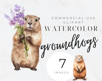 グラウンドホッグ クリップアート バンドル、グラウンドホッグ デー クリップアート、花とグラウンドホッグ、動物の透明 PNG、商用利用、デジタル ダウンロード
