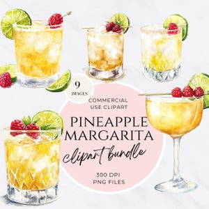 Clipart di margarita all'ananas, Clip art del menu del bar, Cocktail d'autore ad acquerello, Cartello per bevande da matrimonio, Carrello bar, Illustrazione di alcol, PNG