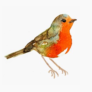 Rotkehlchen, Aquarell handgemachte Karten. Schauen Sie sich das Video an.