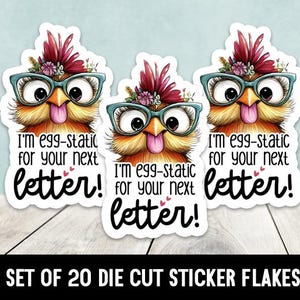 ¡Estoy estático para tu próxima carta! Pegatinas troqueladas - Conjunto de 20 - Regalos de pollo - Amantes del pollo - Pegatinas penpal - Pegatinas pen pal
