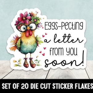 Huevos: ¡esperando una carta tuya pronto! Pegatinas troqueladas - Conjunto de 20 - Regalos de pollo - Amantes del pollo - Pegatinas penpal - Pegatinas pen pal
