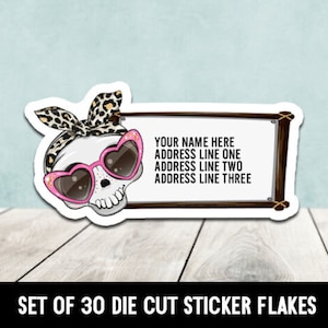 May include: Set of 30 die cut sticker flakes featuring a cartoon skull wearing pink heart-shaped sunglasses and a leopard print bandana. The sticker also includes a rectangular label with the text "YOUR NAME HERE ADDRESS LINE ONE ADDRESS LINE TWO ADDRESS LINE THREE".