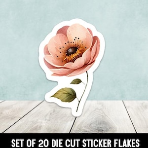 Puede incluir: Una pegatina troquelada con una flor de estilo acuarela con pétalos rosas y un centro oscuro. La flor tiene un tallo y una hoja verdes. El texto "SET OF 20 DIE CUT STICKER FLAKES" está en la parte inferior.