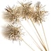 see more listings in the Tinsels Stirrers-Skewers section