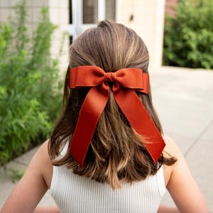 Könnte beinhalten: Ein rostfarbener Haarschmuck, in Form einer Schleife gebunden, ist der Mittelpunkt dieses Bildes. Die Schleife besteht aus einem breiten, gerippten Stoff und befindet sich am Hinterkopf, mit langen Enden, die in das Haar fallen. Das Haar hat eine hellbraune Farbe.