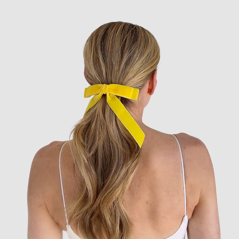 Bailee Mini Velvet Bow