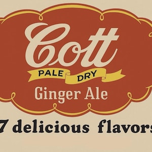 May include: A rectangular metal sign with a cream background featuring a large, scalloped, rust-colored oval frame. Inside, the text reads Cott, PALE DRY, and Ginger Ale. Below the oval, the text reads 17 delicious flavors in black lettering.