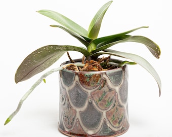 3.5" Orchid Pot