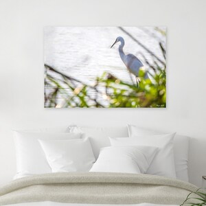 Reiher bei Sonnenaufgang: Wildtier Fotografie Druck - Fine Art Fotografie Wandkunst