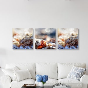 Puede incluir: Un tríptico de tres impresiones sobre lienzo cuadrado que representan una concha marina sobre un lecho de arena blanca y algas verdes espuma. La concha es de color marrón claro con una punta blanca. El fondo es de un azul suave con un efecto borroso.