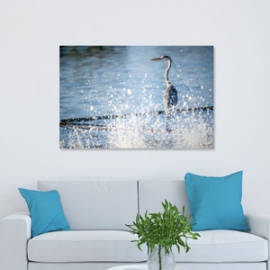 Reiher Vogel Fine Art Fotografie - Wasservogel Wildlife Druck - Natur Wandkunst - Vogel Fotografie