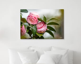 Pink Camellia Flower Print: Botanical Wall Art, Romantic Gift