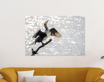 Cormorant Photography Art Print - Avian Wall Art - Photo paper, Canvas or Metal Print Options - Birds Lover Gift Idea