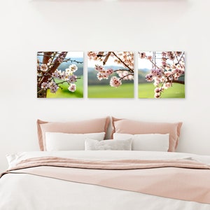 Spring Blossom Canvas Print Series - Versatile Triptych Wall Art