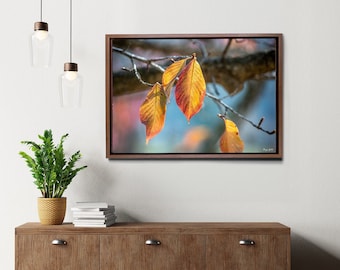 Colorful Autumn Foliage: Botanical Garden Sakura Leaves - Wall Art Decor Print