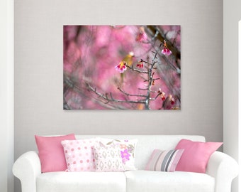 From Japan to Your Home: Sakura Blossom Fine Art Photography Prints Shipped Across the Globe