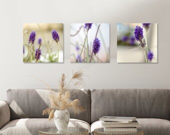 Impresiones fotográficas de flores de lavanda: Arte mural con trío de flores púrpuras